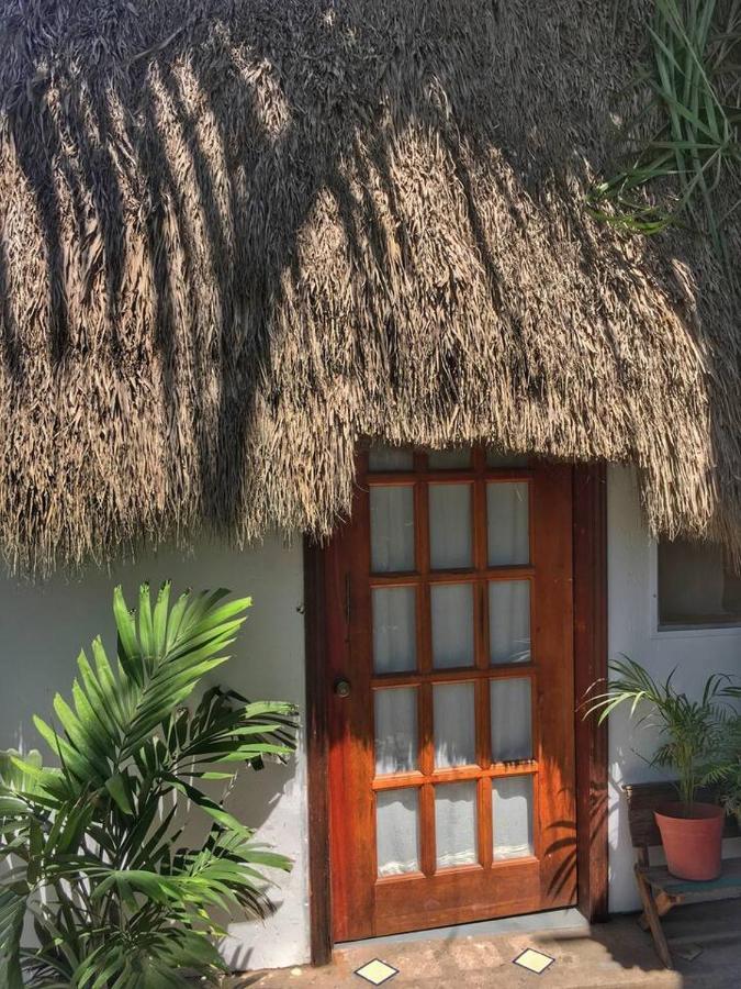 Palapa Chili # Villa Sayulita Exterior foto