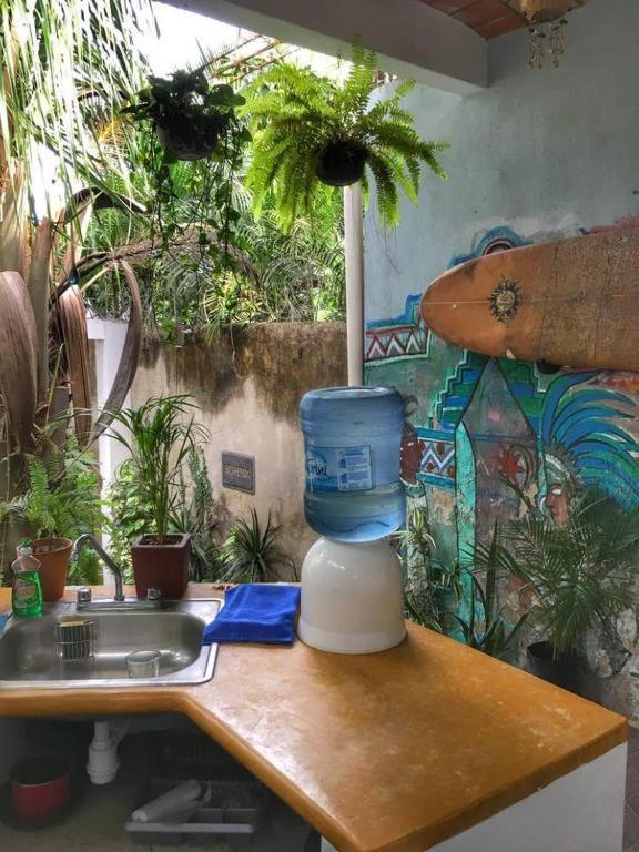 Palapa Chili # Villa Sayulita Exterior foto